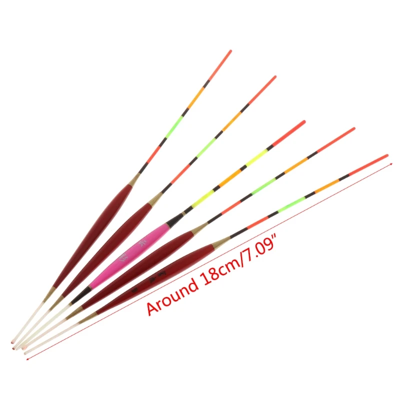 2SS100675-4