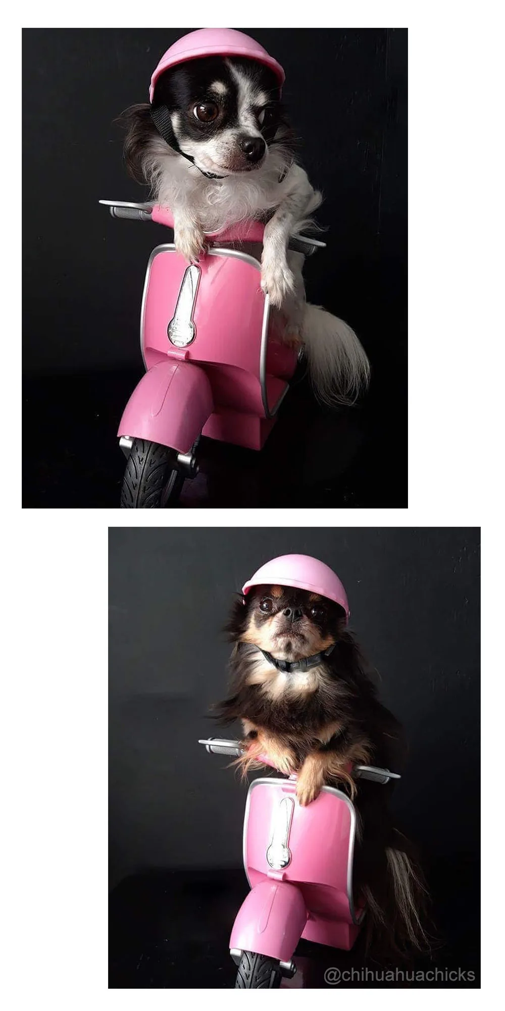 Забавная шляпа для животных собачий Шлем Мотоцикл ABS Кепка для маленьких средних собак кошек Французский бульдог летние аксессуары костюмы для вечеринки в честь Дня Рождения