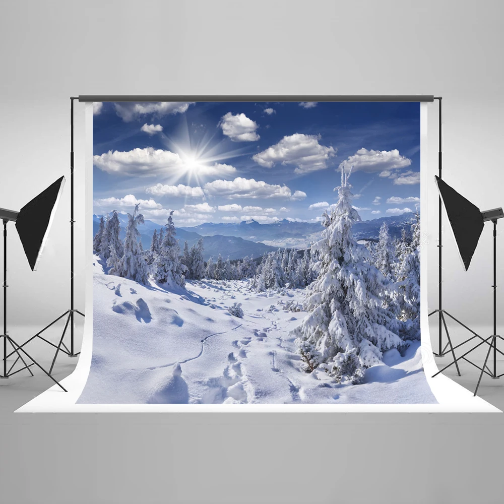 VinylBDSWinter замороженный 10 футов фон для фотосъемки деревья с солнечным светом