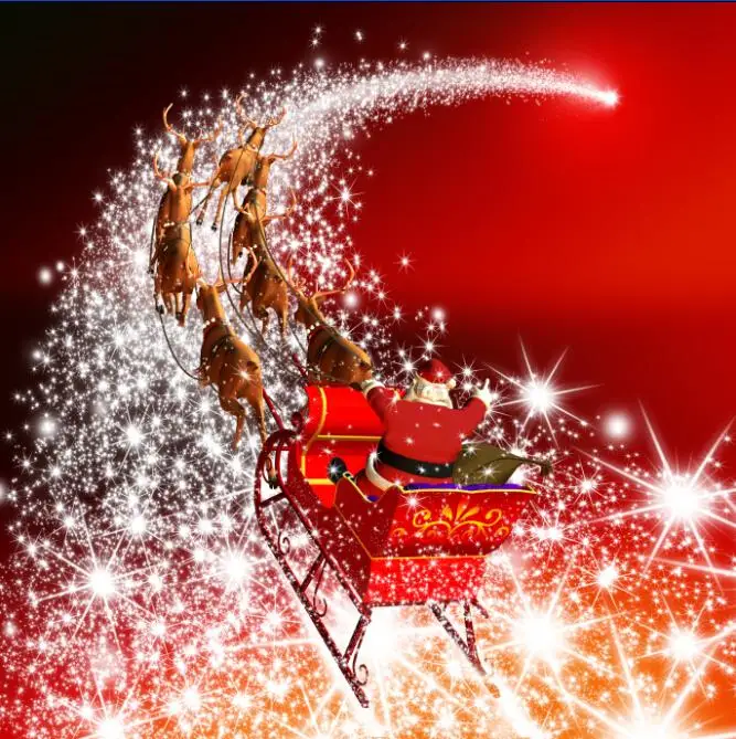 

8X 8FT Christmas Backdrop Vinyl Custom Photography Backdrops Prop Photography Background NT196