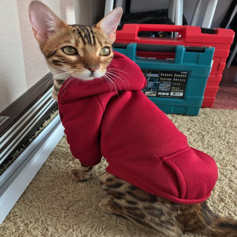 

Pet Cat Jacket Coat Autumn/Winter Soft Cat Clothes for Small Cats Kitten Costumes Clothing Pug Chihuahua Dog Clothes