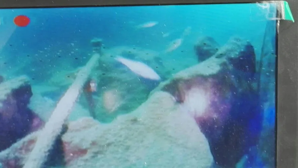 mmexport1451125462576