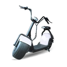 2017 1000W high speed lithium battery mobility citycoco electric scooter with bluetooth speaker