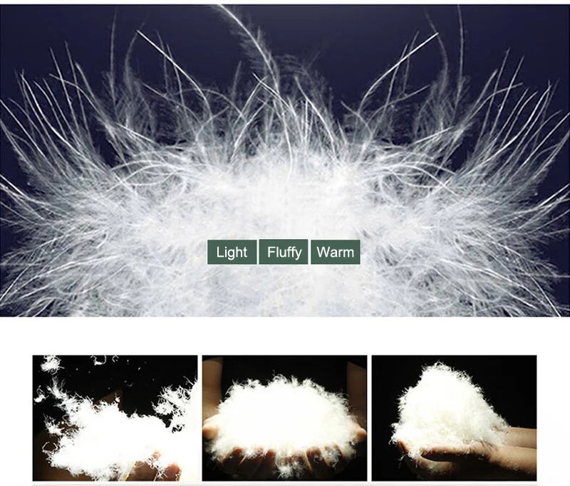 TB2ZXo5d_AKh1JjSZFDXXbKlFXa_!!3170805206