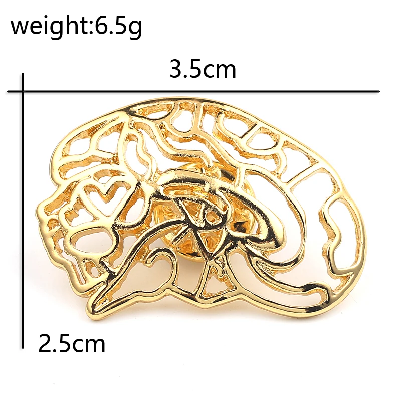Уникальные, золотистого цвета, брошь медицинские черепно-мозговой нерв лацкан булавки бижутерия анатомические подарки для врач-Медсестра Медицинский студентов