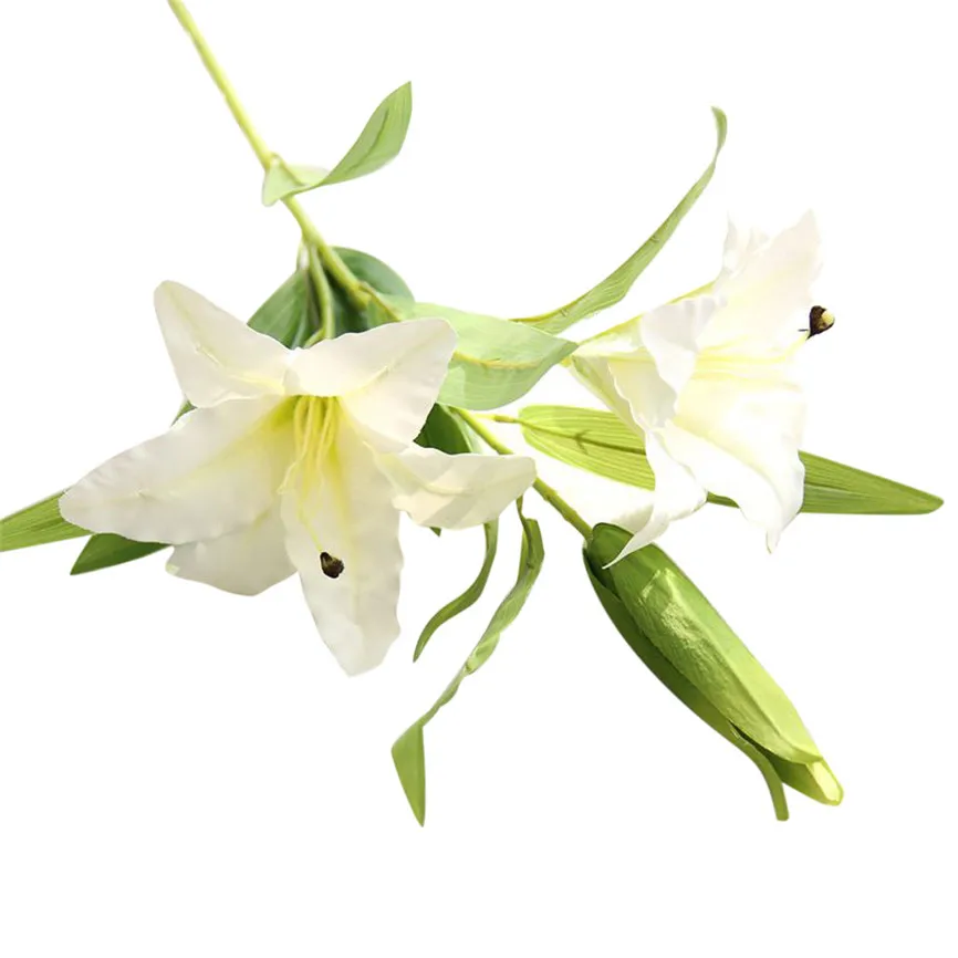 WTX70227481_20170227022622352