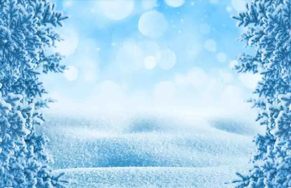 

SHENGYONGBAO Art Cloth Custom Photography Backdrops Prop Winter theme Photo Studio Background DT19511-2203
