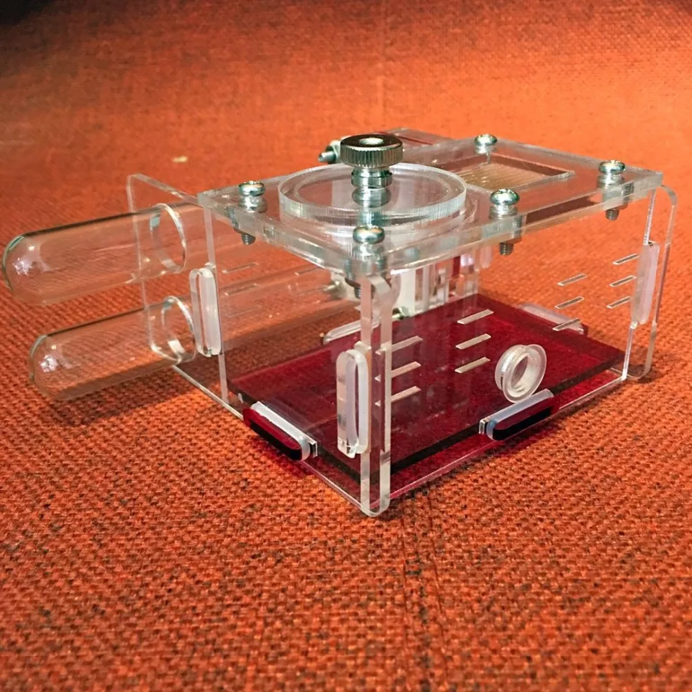 2tubes-ant-nest (1)