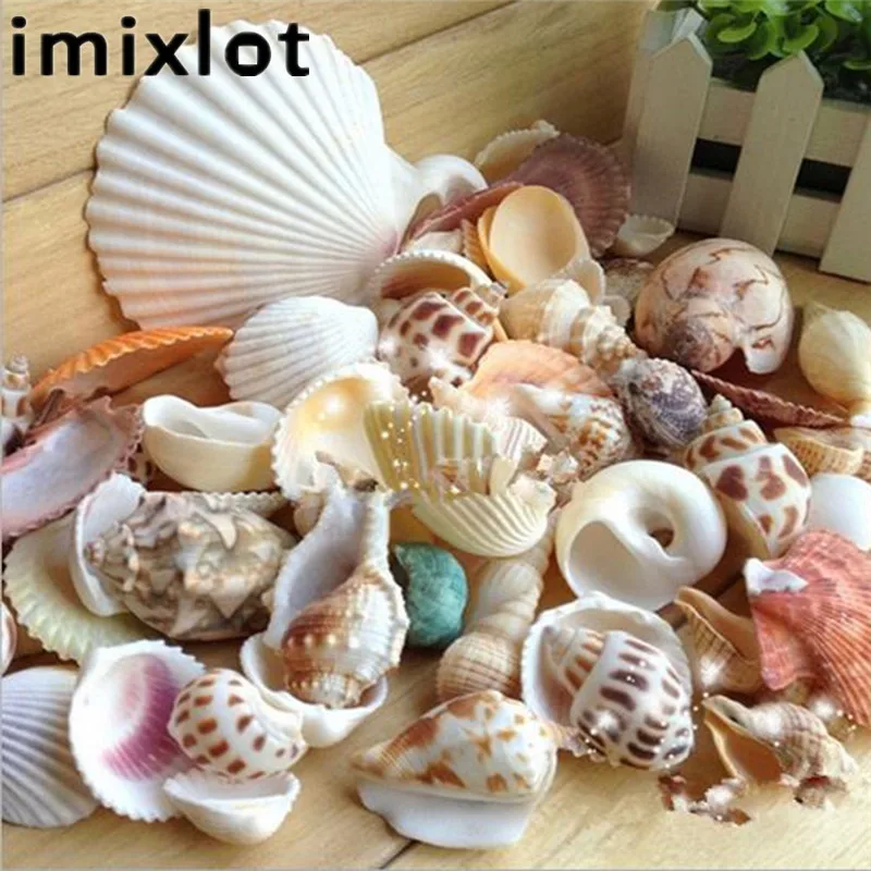 

Imixlot 30-35 Pcs/Bag Mixed Designs Colorful Beach Sea Shell Craft Wall Room Party Decoration Home Supplies