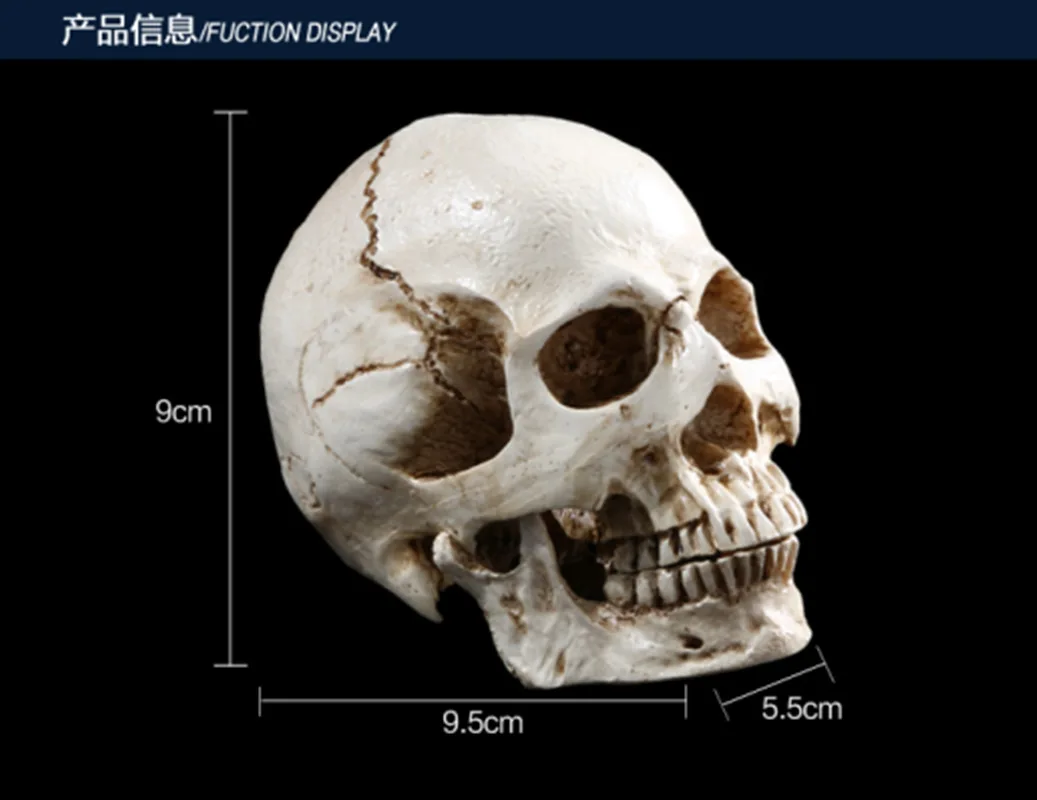 Череп человека из смолы Реплика художественная обучающая модель медицинская Реалистичная 1:1 взрослый Размер Череп анатомическая голова медицинская модель