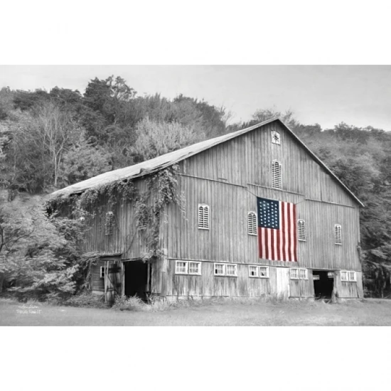 Patriotic Farm II Poster Print by Lori Deiter (18 x 12)