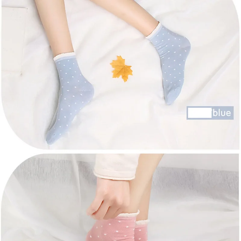 SockS (9)
