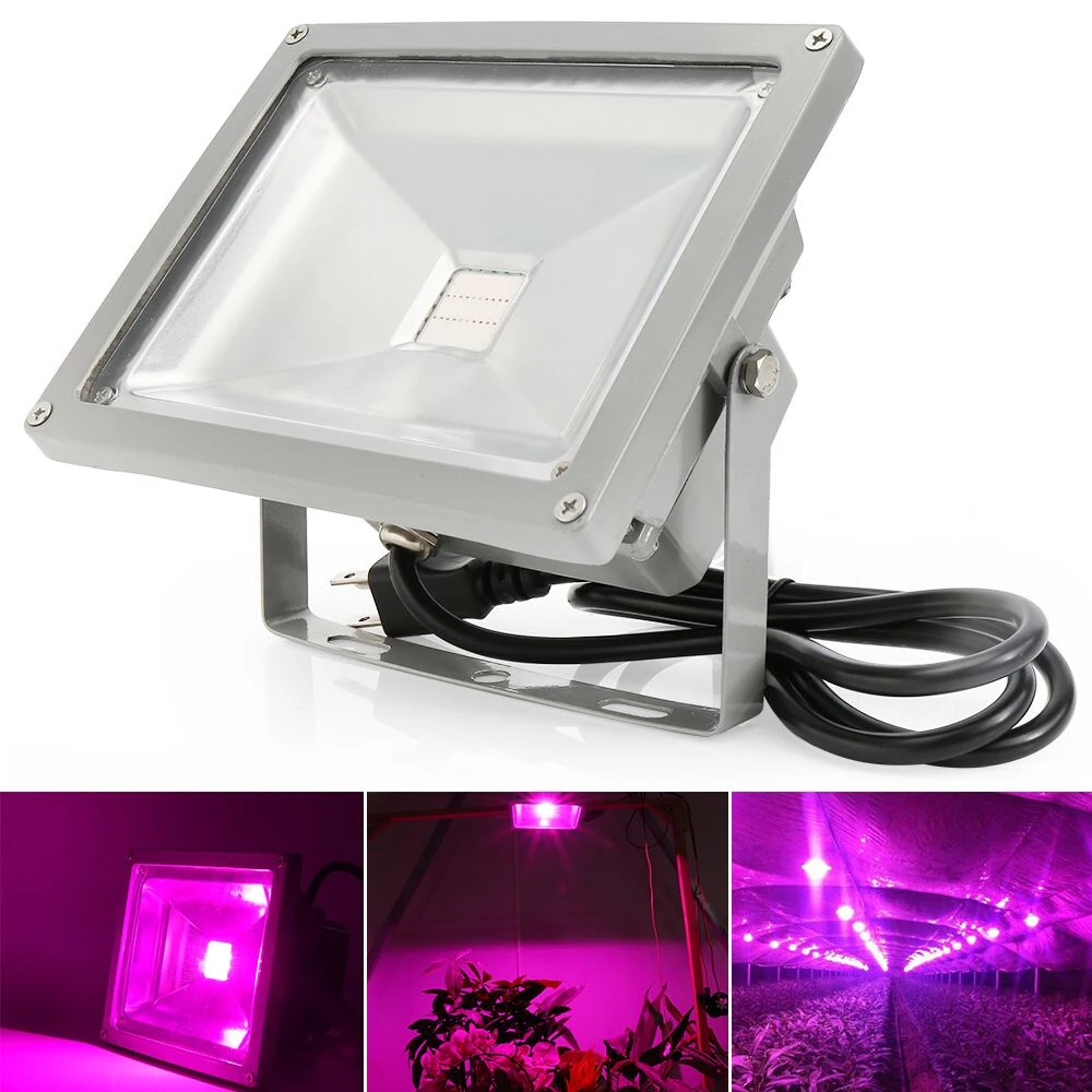 Buy LED Flood Grow Light Lamp 10W/20W/30W/50W For
