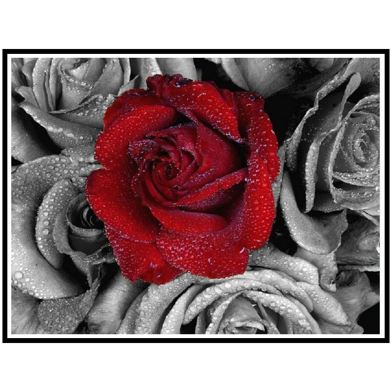 Diy Diamond painting flowers red rose handwork full mosaic Picture
