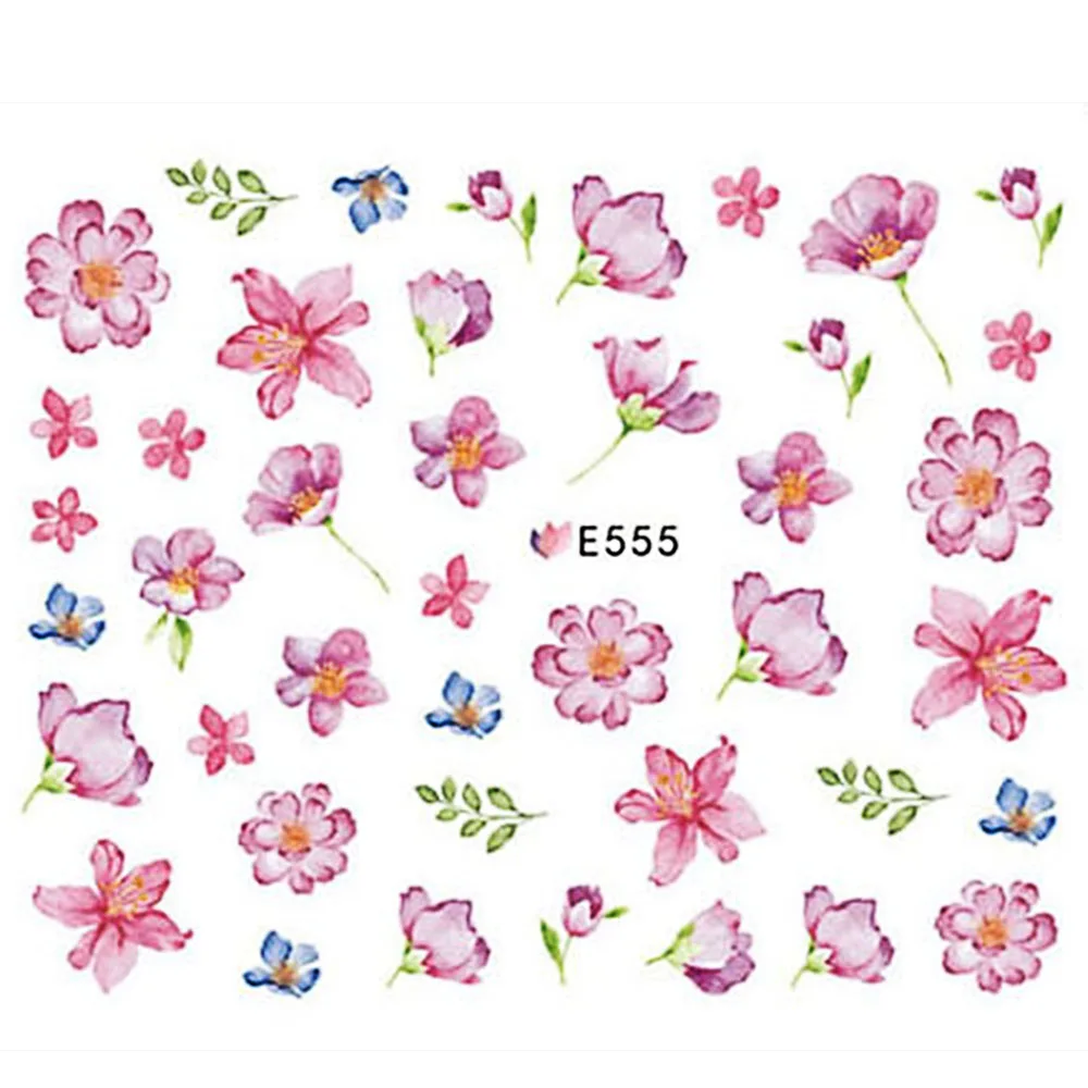 E555