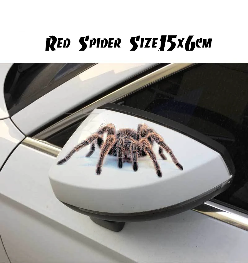 4456975495_745191943_