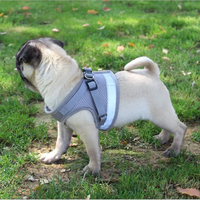 Vest Harness Leash Adjustable Mesh Vest Dog Harness Collar Chest Strap Leash Harnesses With Traction Rope XS/S/M/L/XL 3