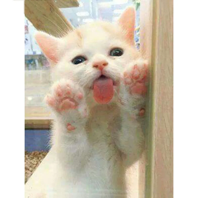 HTB1zb5IgXzqK1RjSZFCq6zbxVXaI