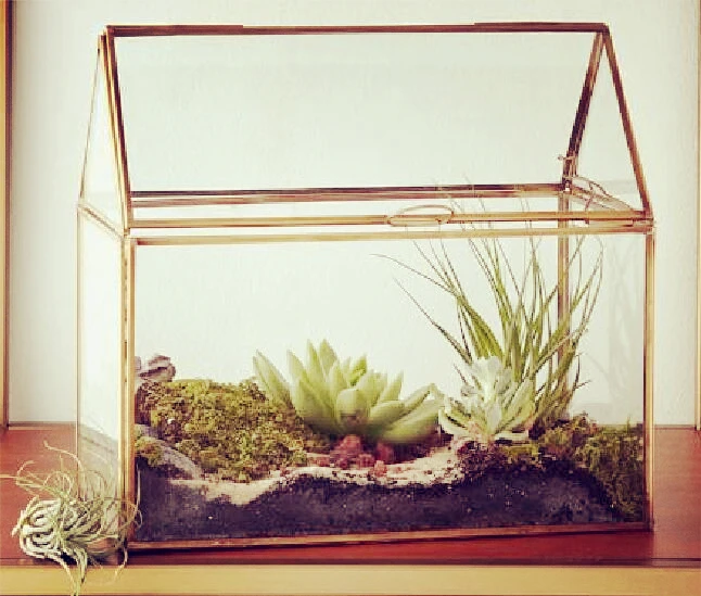 

Geometric Glass House / Handmade Glass Terrarium / Modern Planter for Indoor Gardening / Desktable Vase / Stained Glass Box
