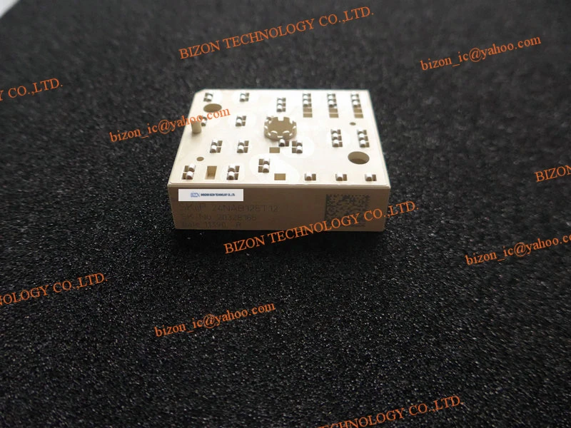 

SKIIP24NAB125T12