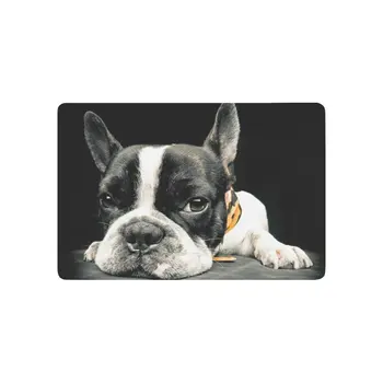

Close Plane of a French Bulldog Anti-slip Door Mat Home Decor, Funny Animal Indoor Outdoor Entrance Doormat Rubber Backing