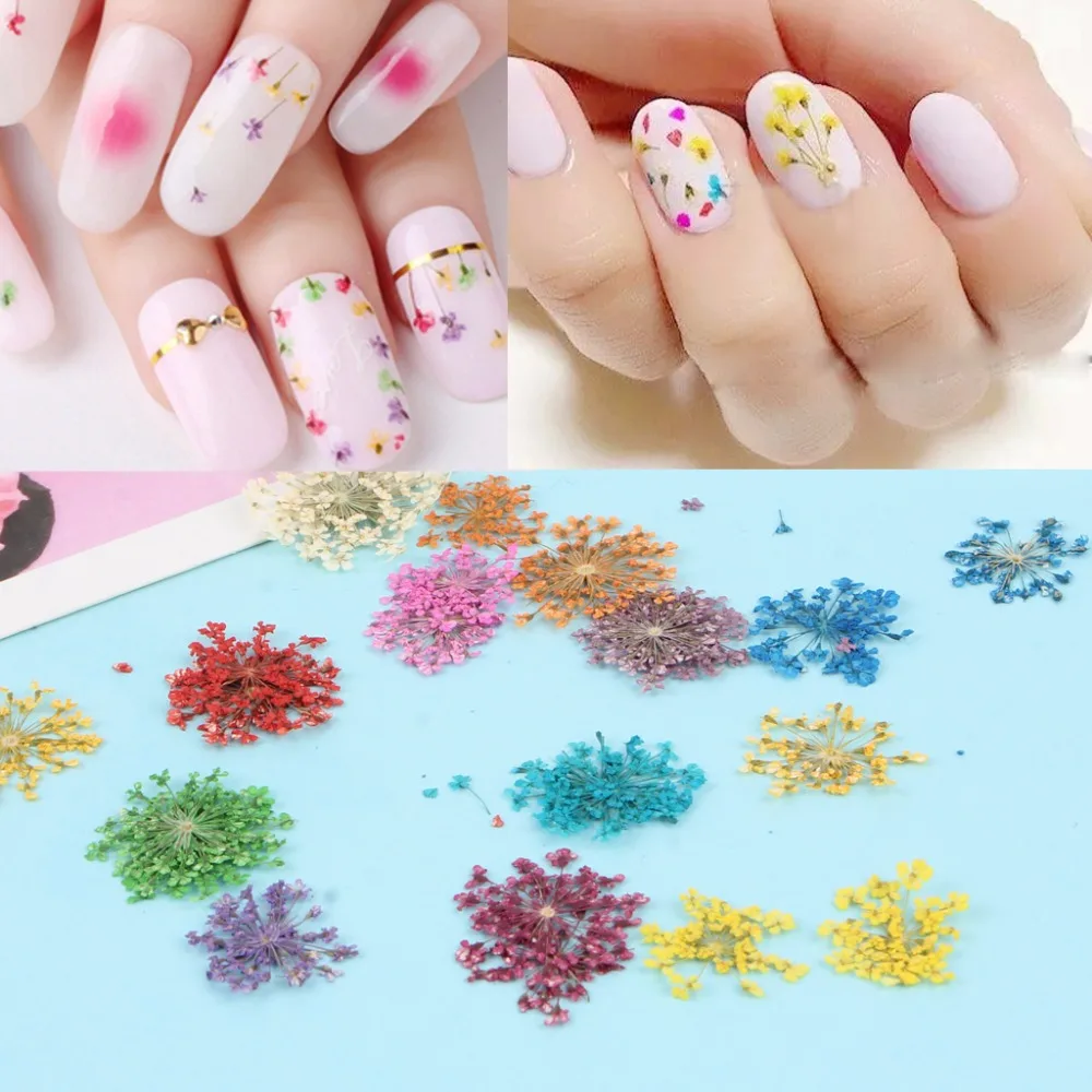 12 Colors Nail Dried Flowers Nail Art Decoration Design DIY Tips ...