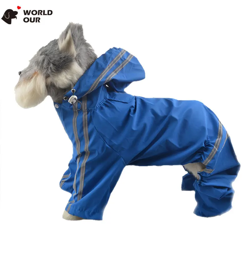 dog clothes french