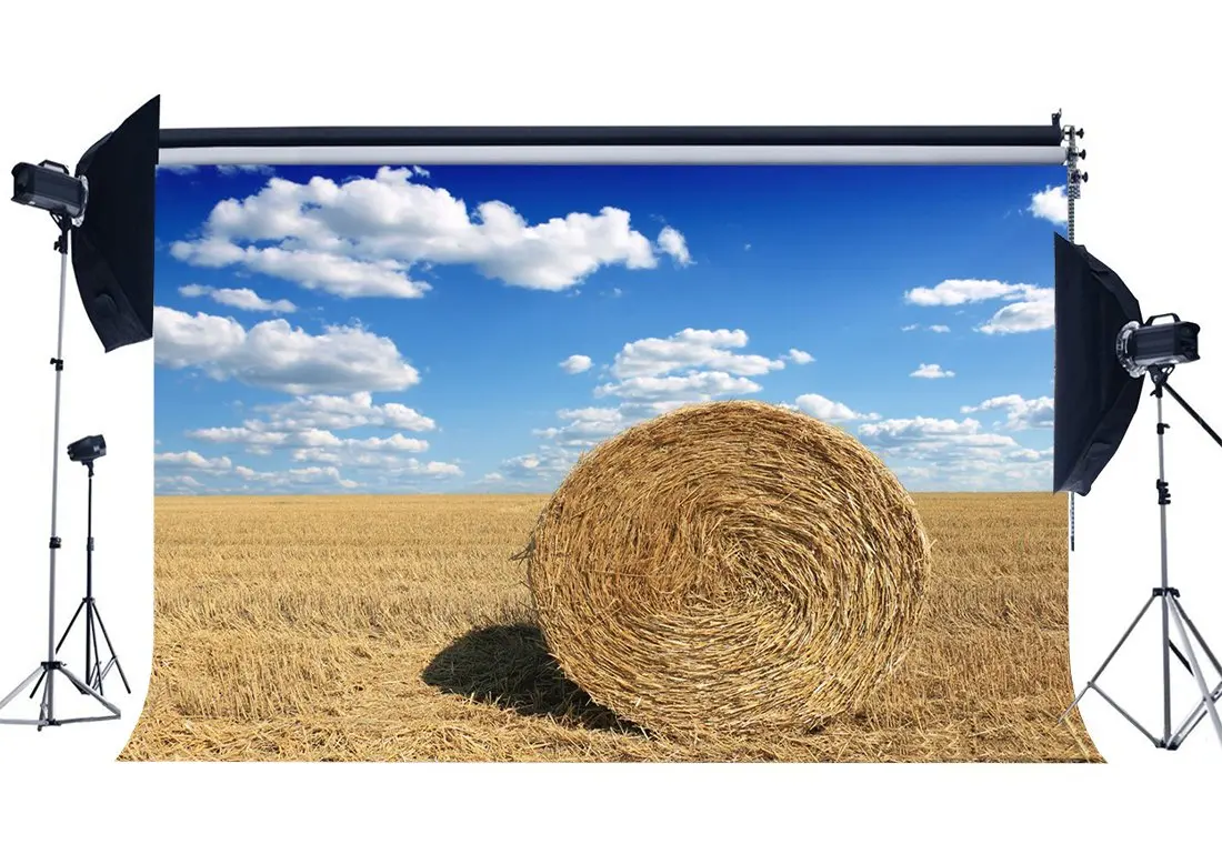 

Autumn Farmland Backdrop Nature Wheat Field Straw Hay Bale Blue Sky White Cloud Fall Photography Background