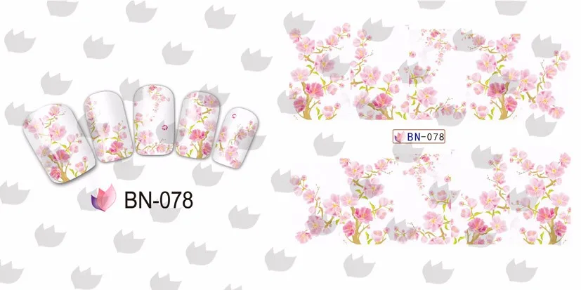 BN-078