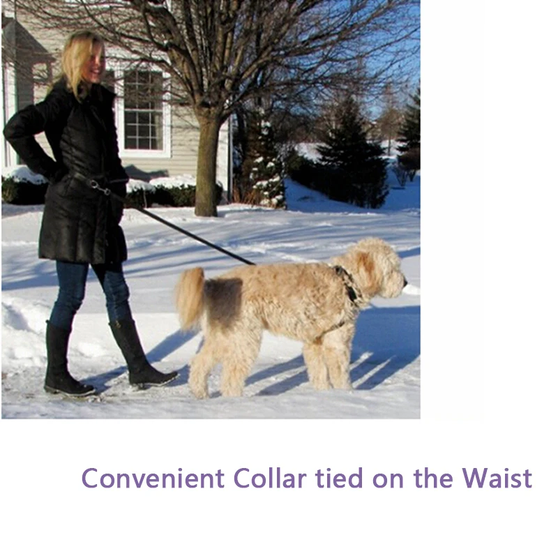 TAILUP-Pet-Products-For-Large-Dog-Hands-Free-Leash-Leads-Collar-Adjustable-Dog-Harness-Leash (5)