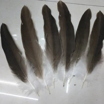 

10pcs rare natural eagle feathers 30-35 cm 12-14 inches celebration decoration free shipping