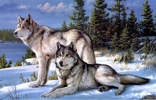 

full diamond embroidery beads animal diamond cross stitch Square diamond unfinished kits Snow forest wolf