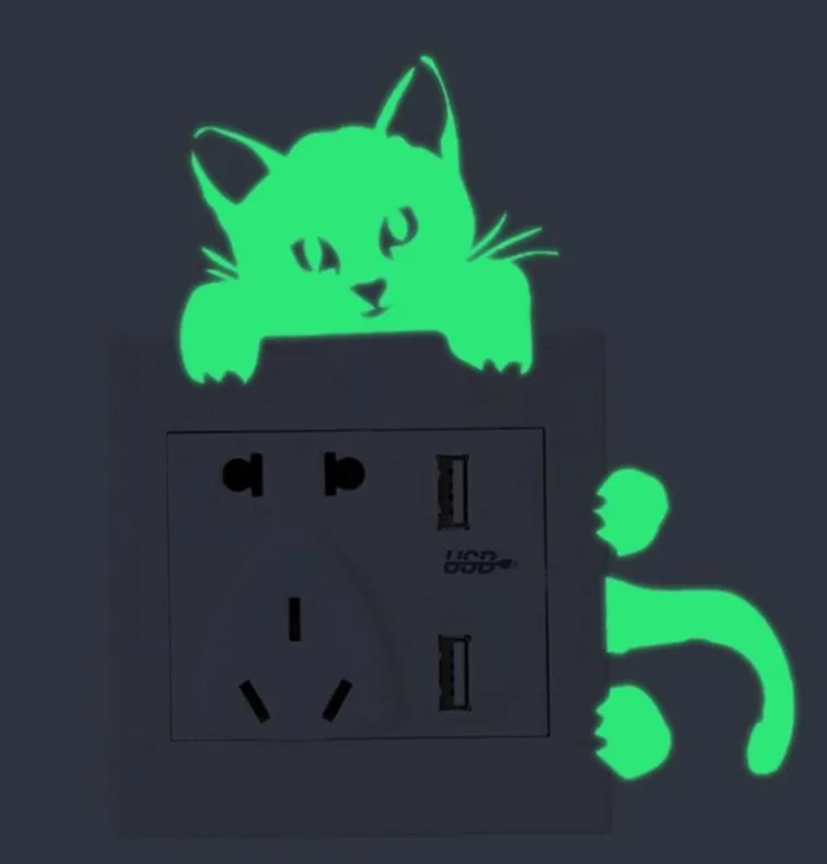 9187754951_803892380