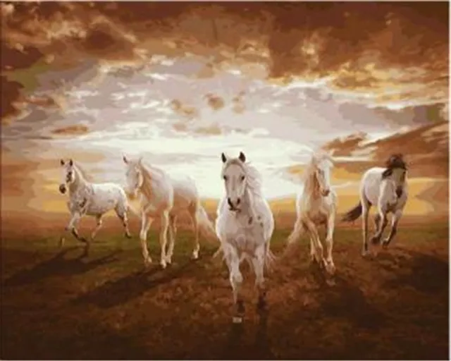 five white running horses printed diy digital oil painting by