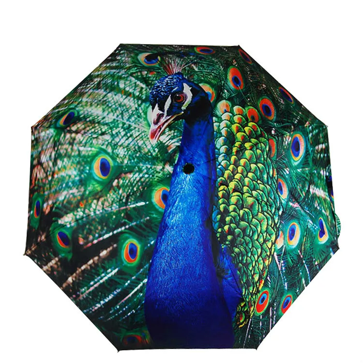 Popular Hot Simulation Peacock Umbrella Creative HD 3D Digital Proofing