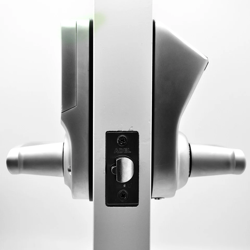 Oak D8uoatql7m