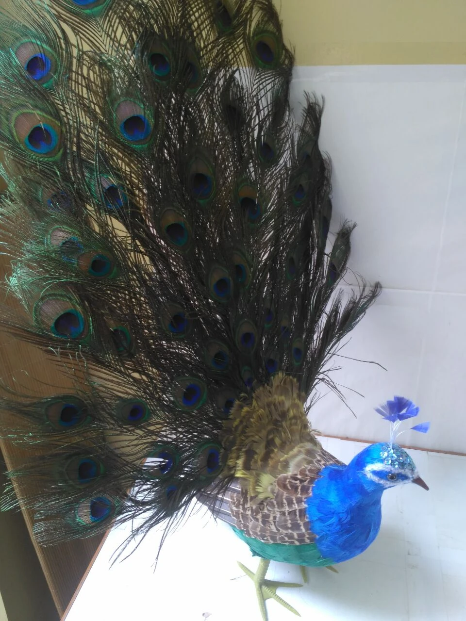peacock doll