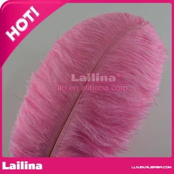 

wholesale 300pcs cheap South Africa natural ostrich feather for wedding decoration 25-30cm