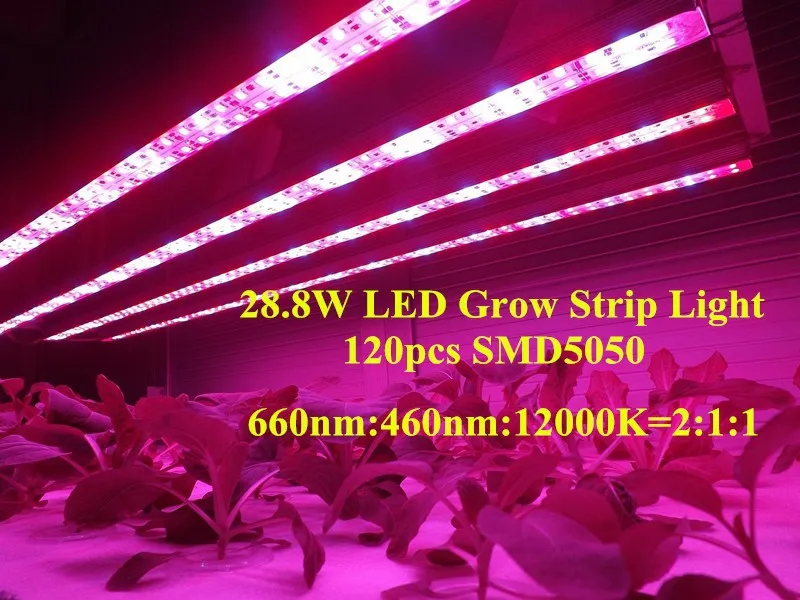 Лидер продаж комнатный гидропонный огни 28,8 w smd 5050 Жесткие светодиодные ленты Лампа для роста растений 660nm 460nm 12000 K