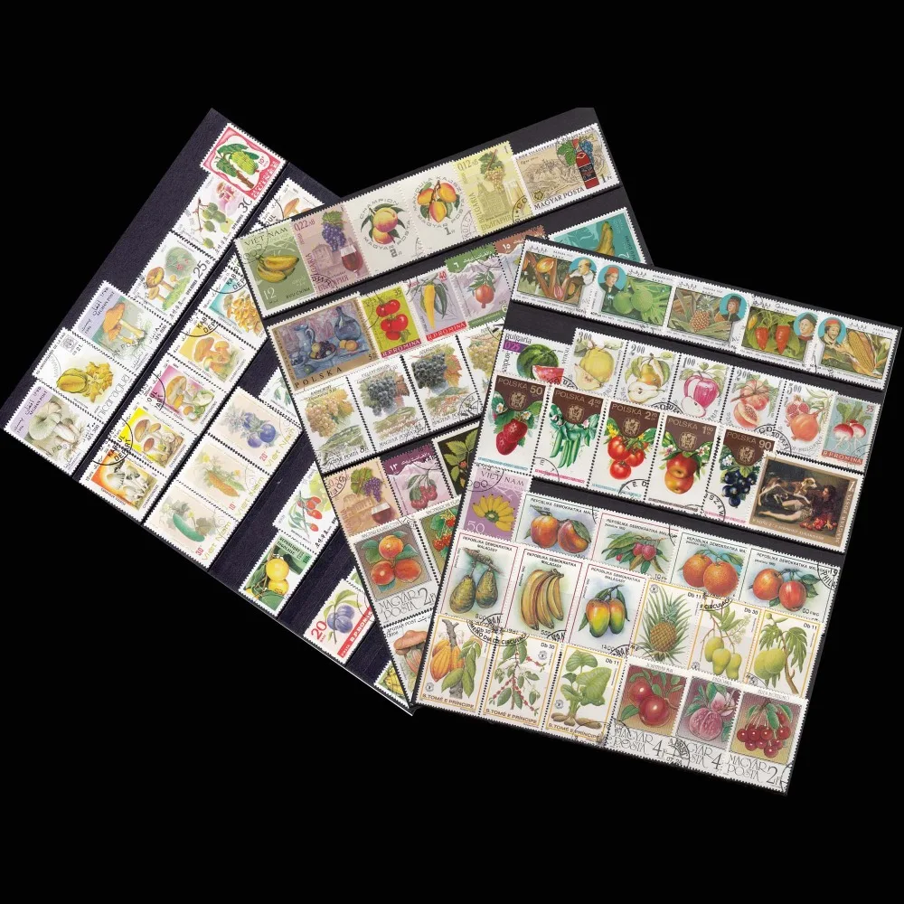 

100PCS/LOT No Repeation,Fruits and vegetables , World Wide Used Postage Stamps All Middle , Big Stamps NO Small ,For Collecting
