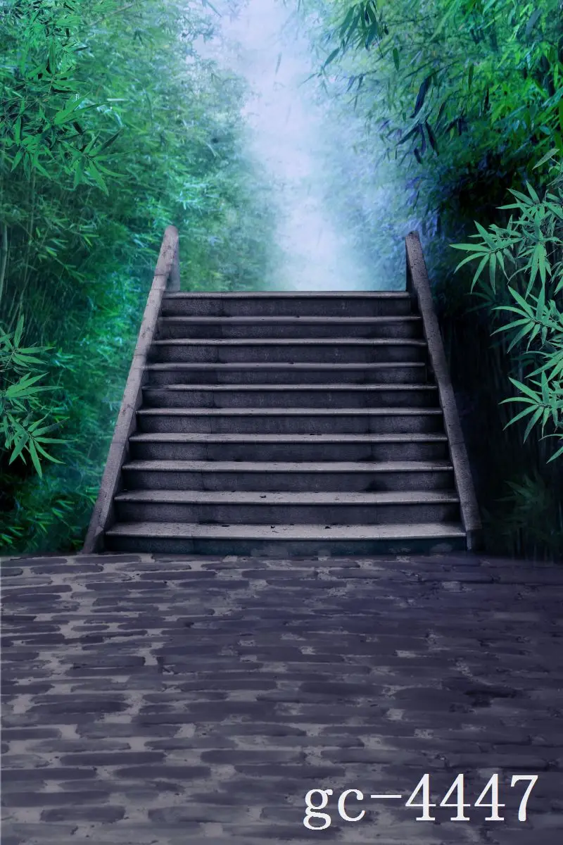 

3*5M Art Cloth Custom Photography Backdrops Prop Indoor theme Studio Background GC-4447