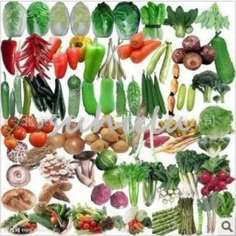 100 Pcs/Lot Balcony Vegetables Package Bonsai, Mix Kinds Hot Organic Delicious Vegetable For Garden Plants