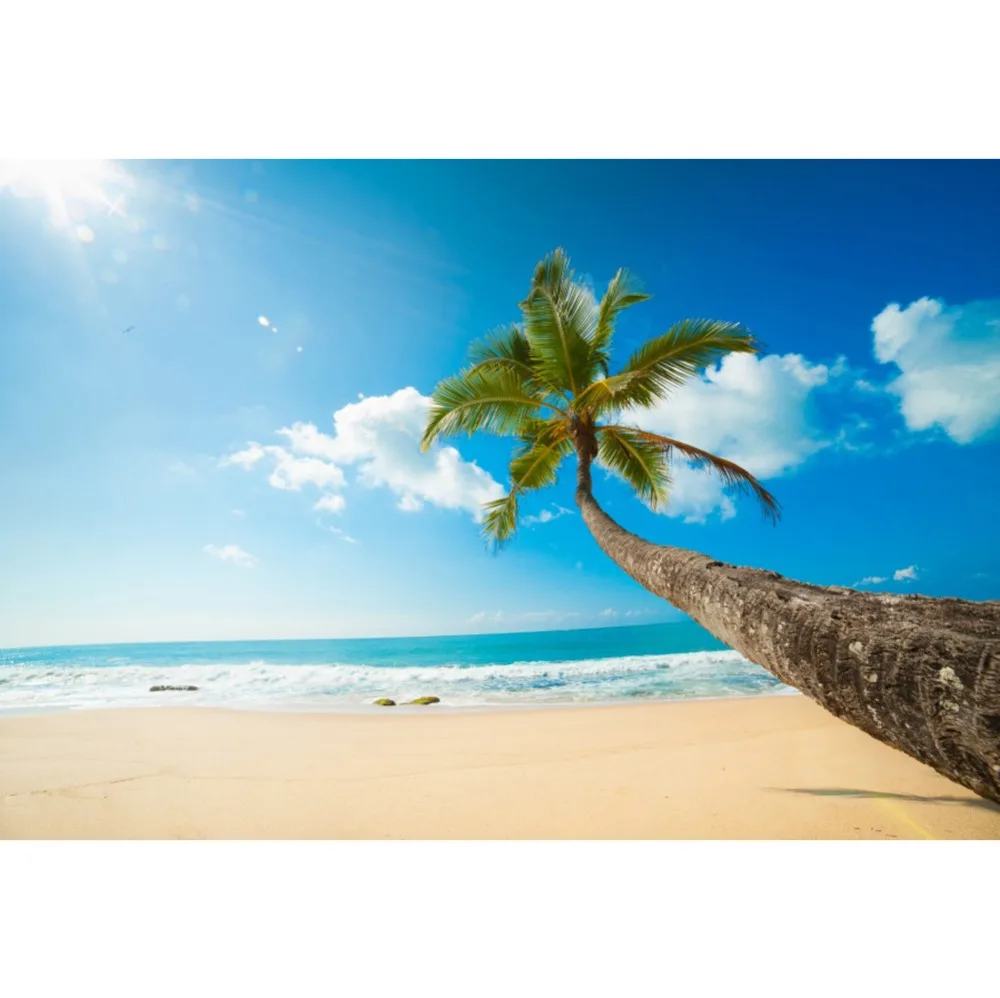 

Laeacco Tropical Sea Beach Sand Palm Tree Blue Sky Cloud Scenic Photographic Backgrounds Photography Backdrop For Photo Studio