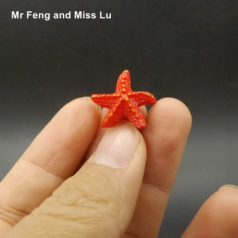 182 Petit Modèle De Dessin Animé étoile De Mer Cognition Monde Jouets Pour Enfants In Jeux Daction Et Figurines From Jeux Et Loisirs On Aliexpress