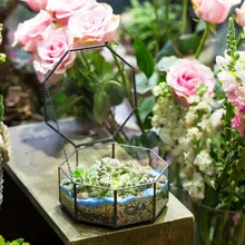 Artistic Clear Glass Geometric Terrarium Eight-sides Flowerpot Box Succulents Fern Moss Plants Terrarium Glass Bonsai Flower Pot