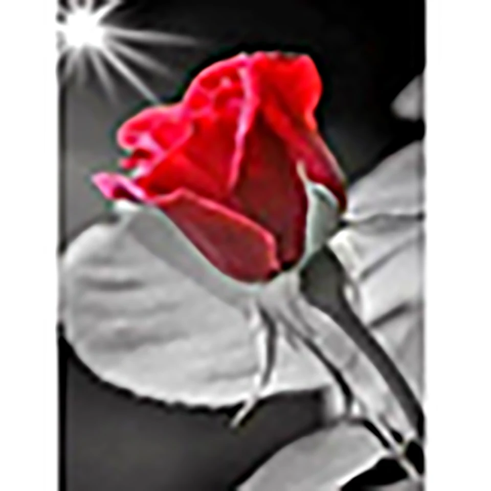 Huacan-diamantes-mosaico-venta-de-flores-de-diamantes-de-imitaci-n-fotos-bordado-de-diamantes-diamante.jpg_640x640 (9)