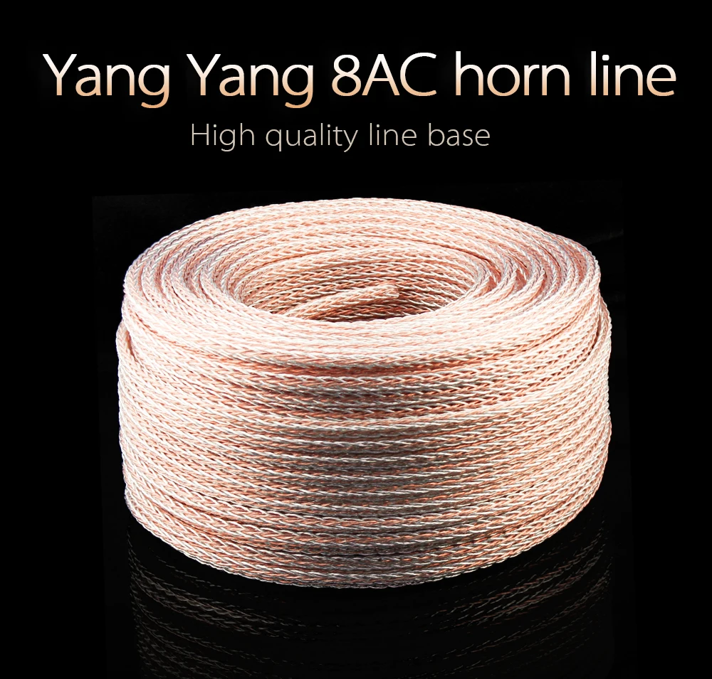 --8AC_01