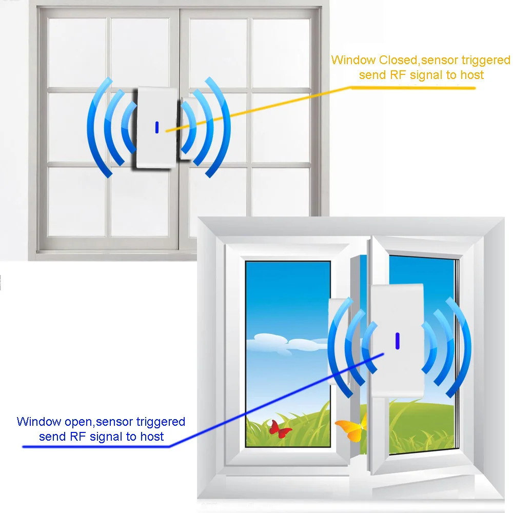 Window