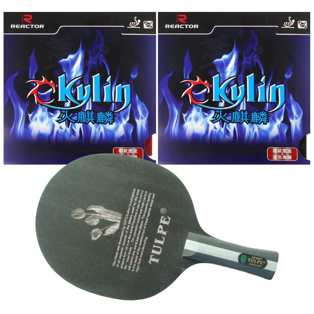 

Pro Table Tennis PingPong Combo Racket Kokutaku TULPE T-703 Long Shakehand FL + 2Pcs Reactor Ckylin NO ITTF Blue Sponge