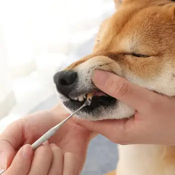 

Double Sided Stainless Steel Dog Teeth Cleaning Tools Dogs Cats Tartar Remover Dental Stones Scraper Dog Cleaning Supplies 20E